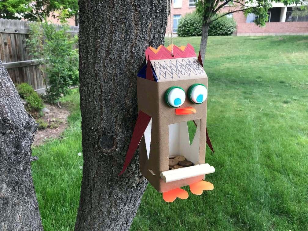 Create a bird feeder.