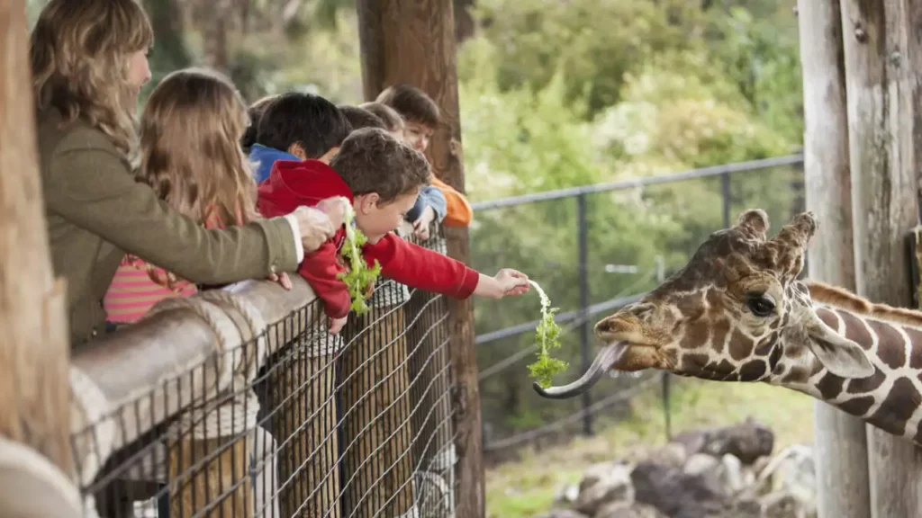 Go to the Zoo.